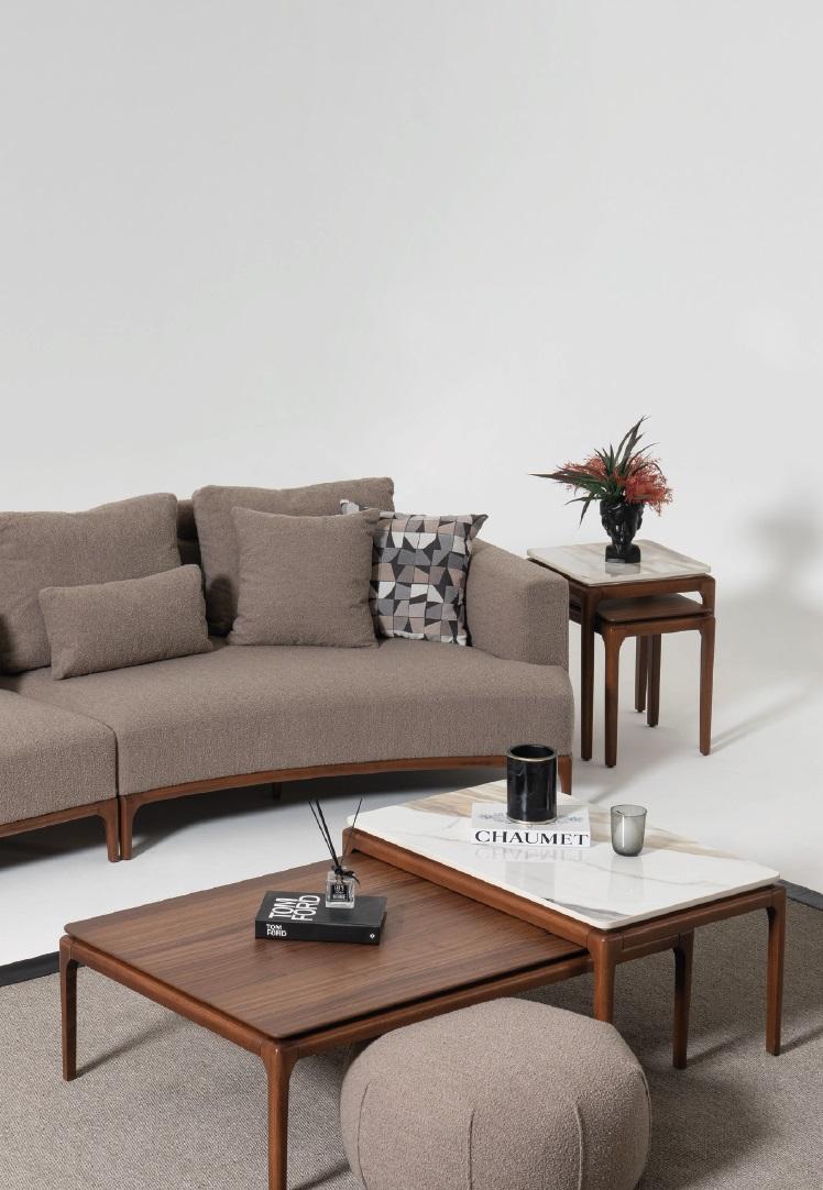 Wohnzimmer 2x Couchtisch Tisch Luxus Design Möbel Braune Tische 2tlg.