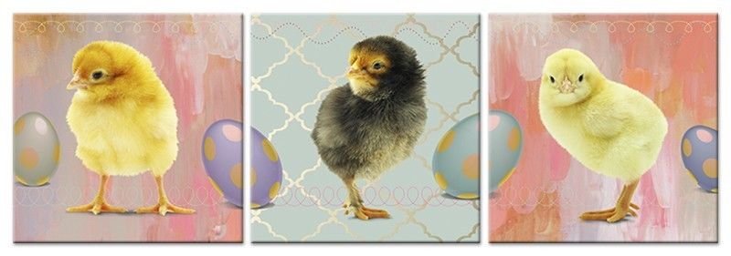 3 x Bild auf Leinwand Wandbild Leinwandbild Küken Ostern Eier